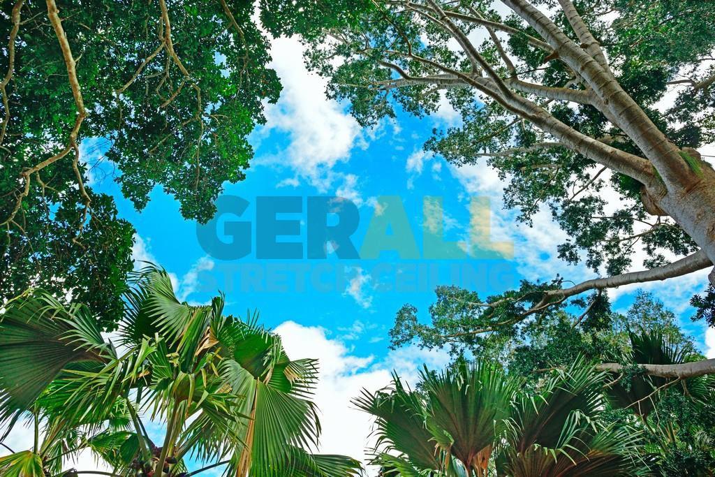 cicekagac_1647407663344