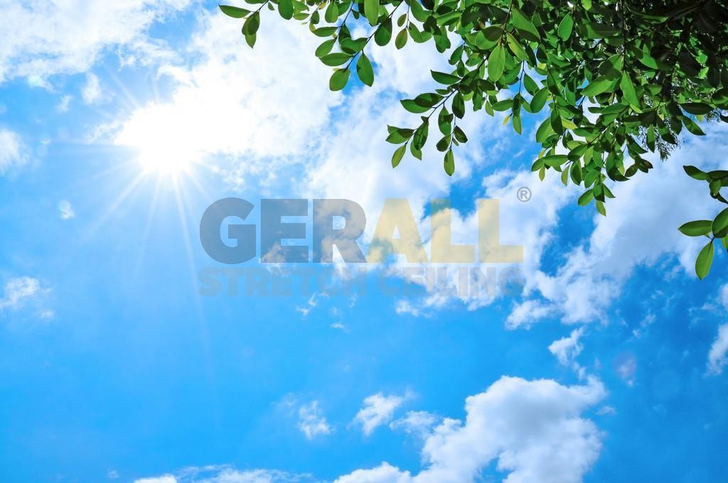 cicekagac_1622392534203