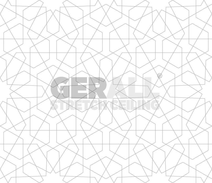 motif_36528001631596