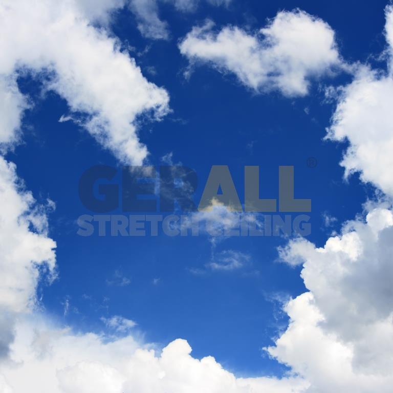 gok_14915348196