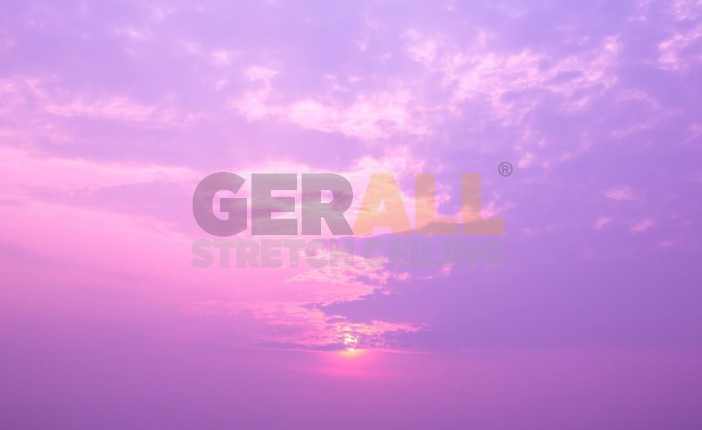 gunbat_05518743810611