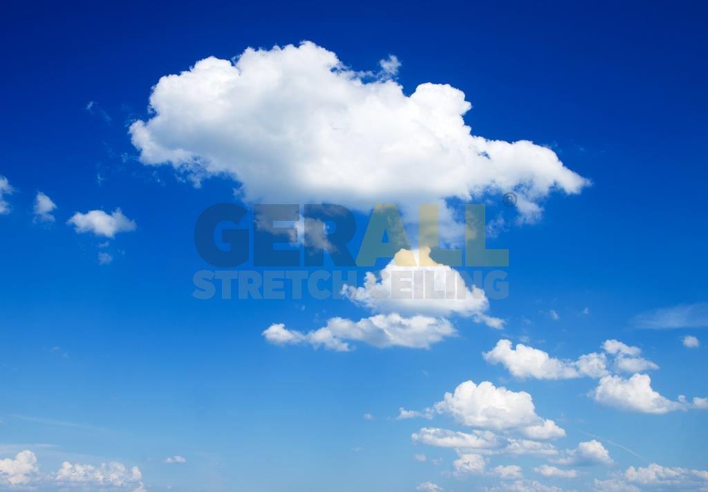 gok_112137476754