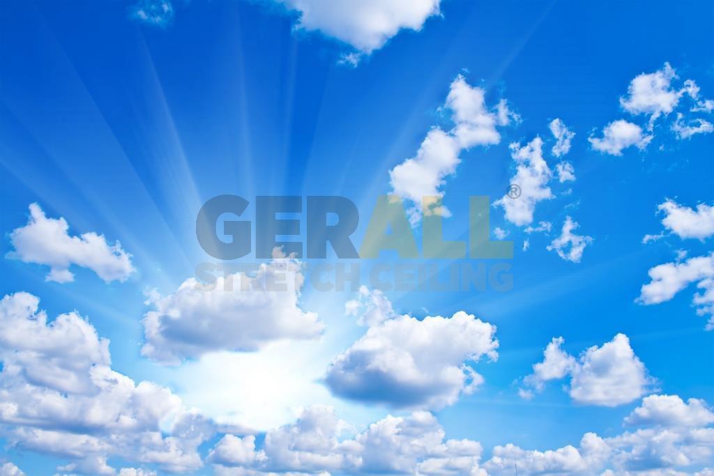 gok_43666850993
