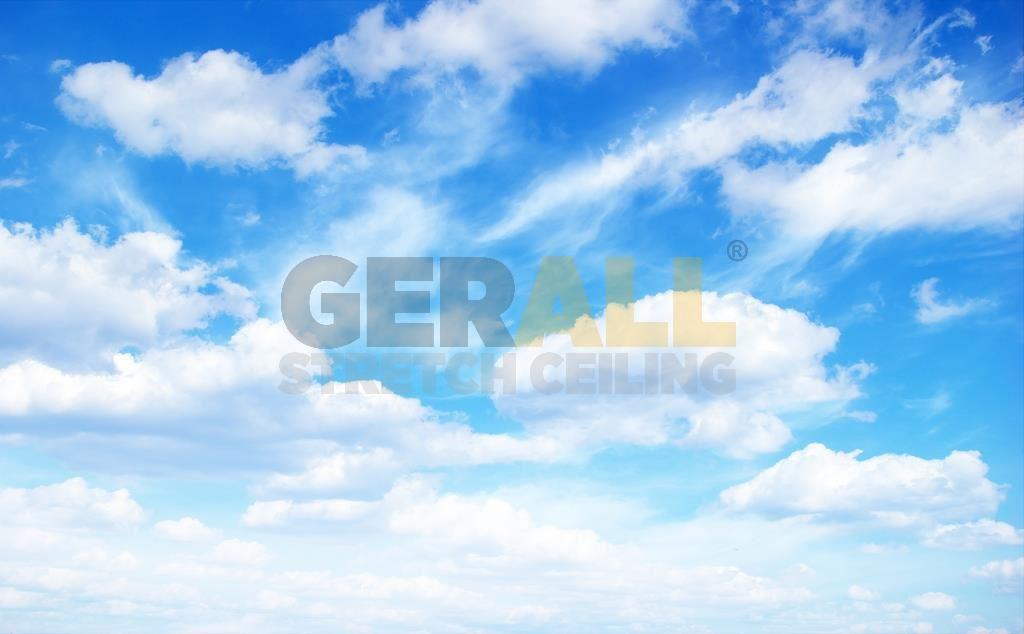 gok_41662233555