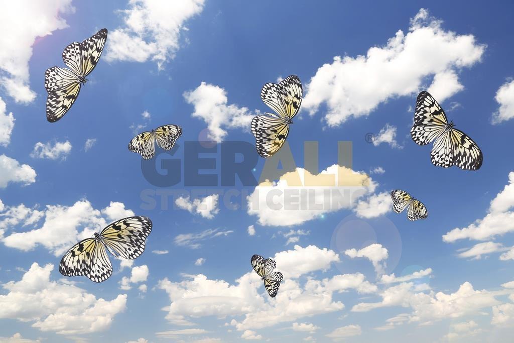 gok_260291005606
