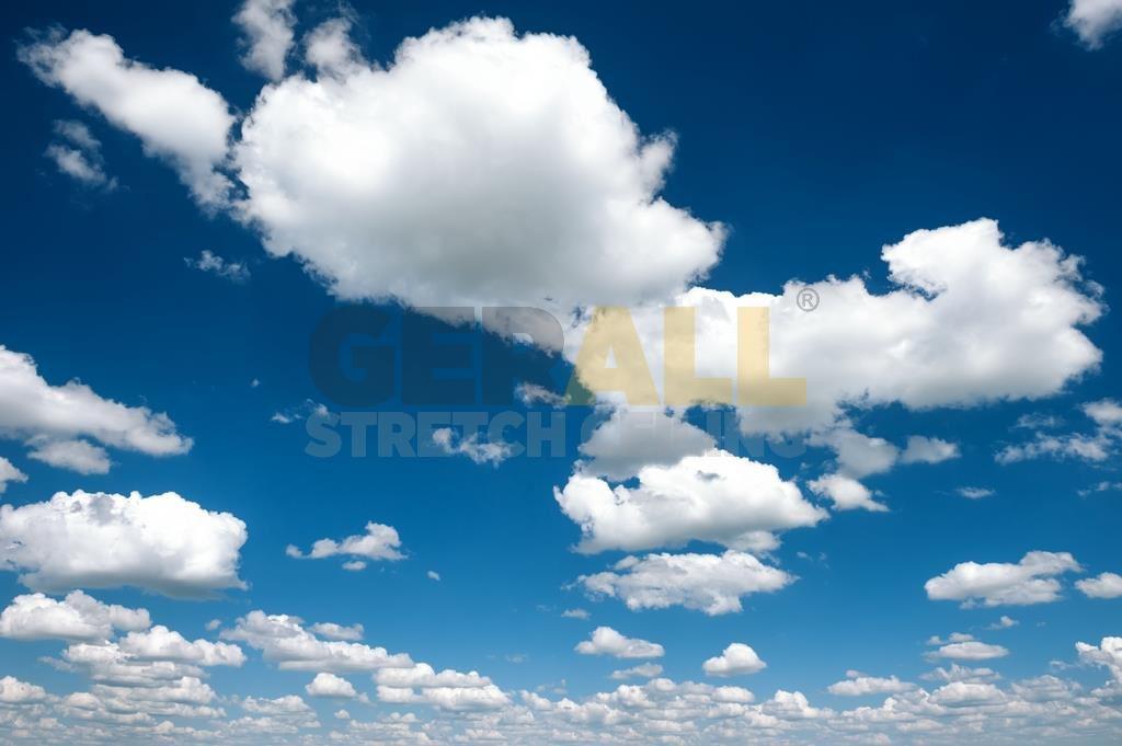 gok_164161557766